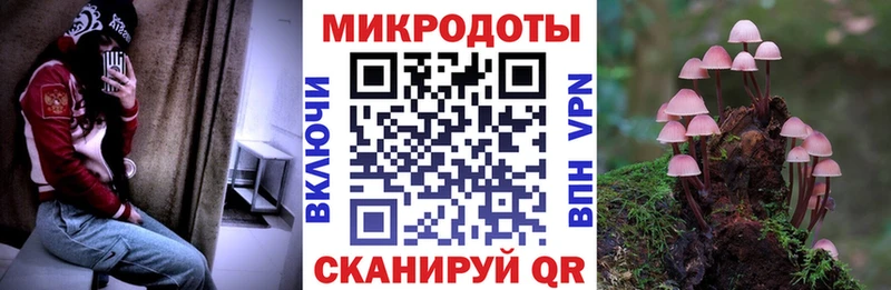 Галлюциногенные грибы MAGIC MUSHROOMS  где купить   Переславль-Залесский 
