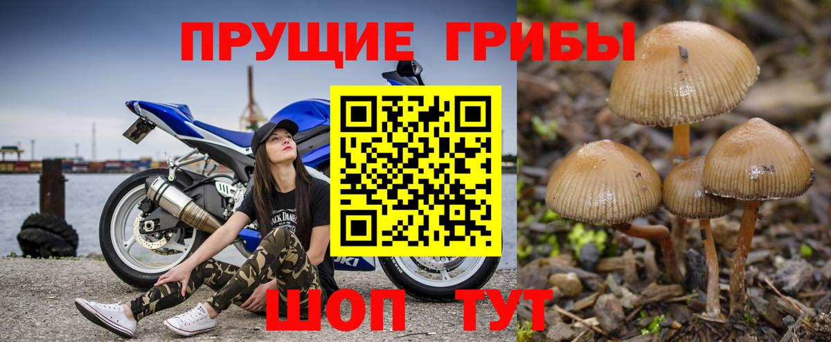 Псилоцибиновые грибы MAGIC MUSHROOMS  Переславль-Залесский 